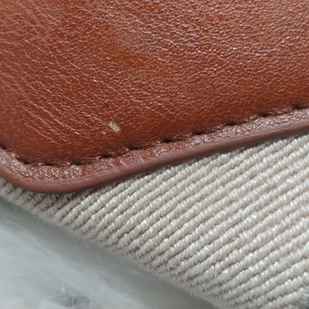 EXPRESS Elastic Belt - Picture 7 of 7